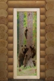 Дверь DoorWood Классика-2 с Фотопечатью 1850х750