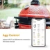Цифровой настольный термометр InkBird ISC-007BW