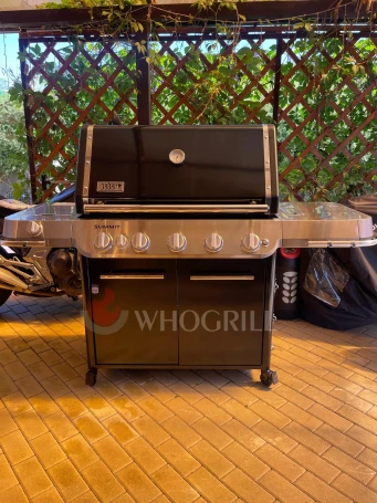Газовый гриль Weber Summit FS38 E