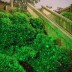 Уличная лазерная подсветка X-30P Зеленый/Красный Анимация "Светлячок"